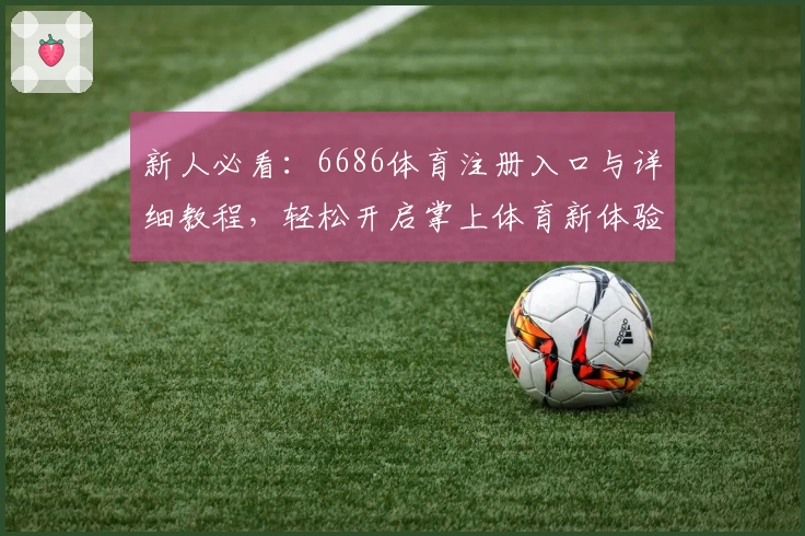 新人必看：6686体育注册入口与详细教程，轻松开启掌上体育新体验