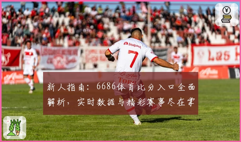 新人指南：6686体育比分入口全面解析，实时数据与精彩赛事尽在掌握